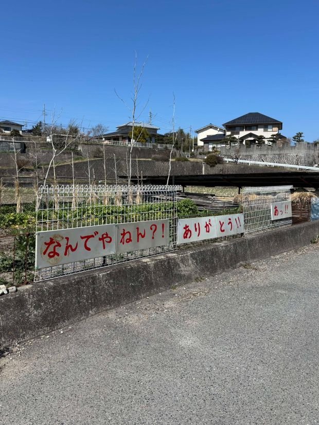 古民家カフェで癒しのひとときをの記事写真